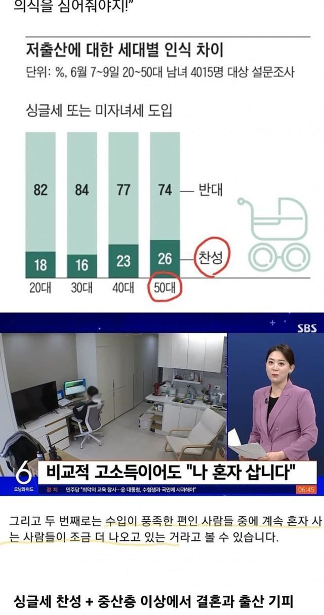 싱글세 도입? 인구 소멸로 멸망한