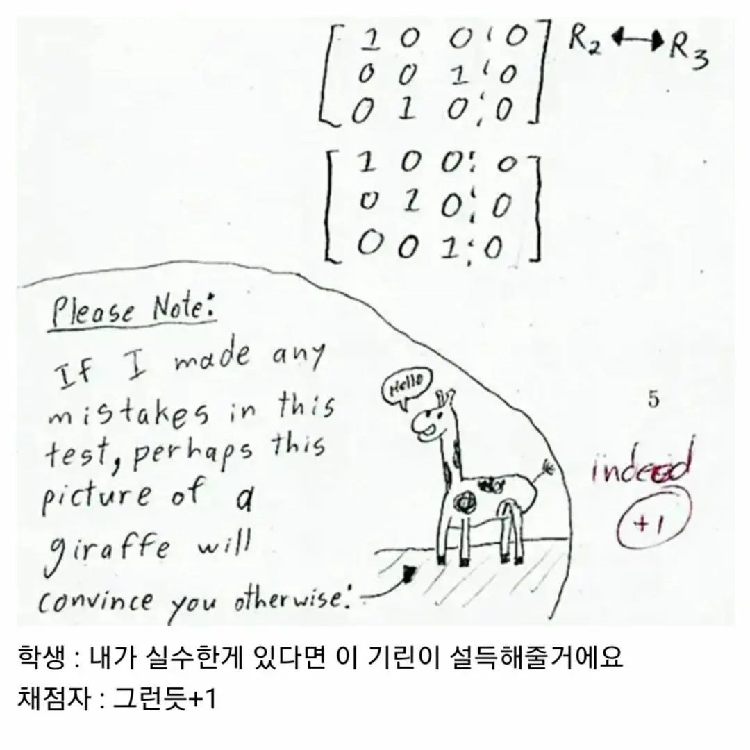 골때리는 외국인 시험지 답안