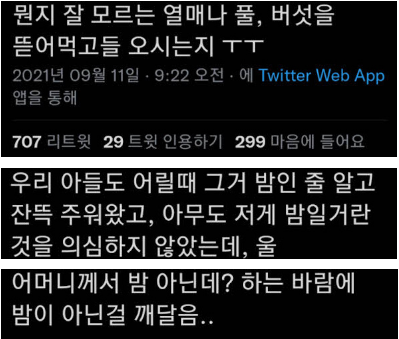 밤 주워먹으면 안 되는 이유