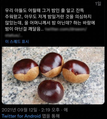 밤 주워먹으면 안 되는 이유