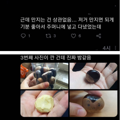 밤 주워먹으면 안 되는 이유