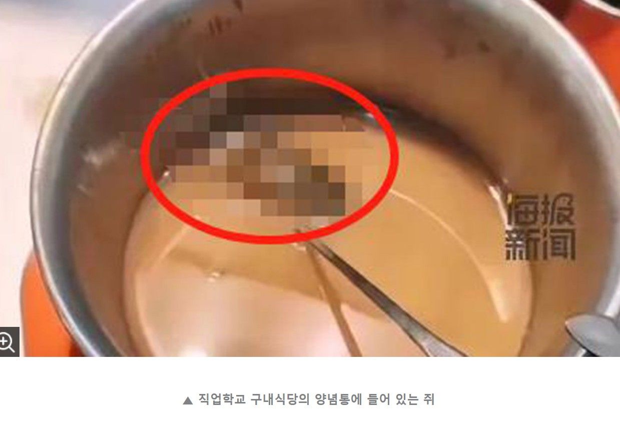 짱꿰국 학식 퀄리티