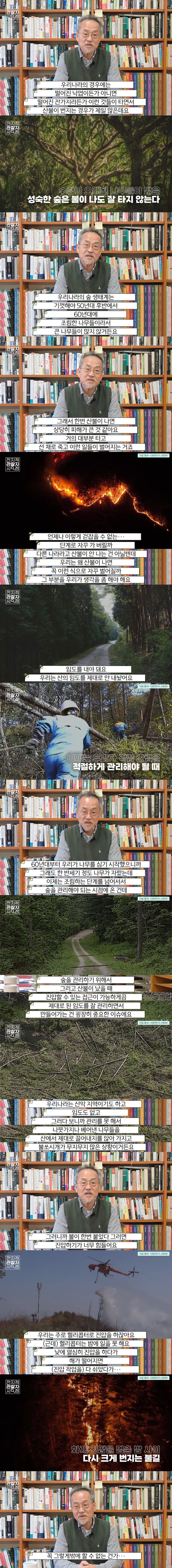 한국에서 자꾸 산불이 대형화 되는 이유