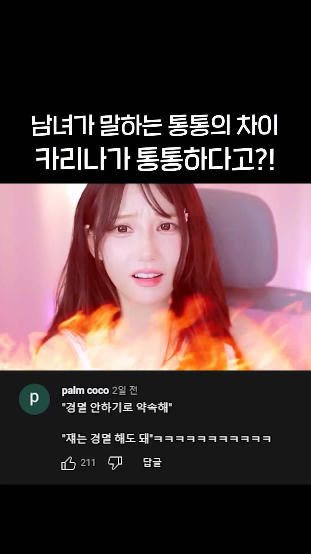 남자들이 생각하는 통통한 여자 연예인 기준