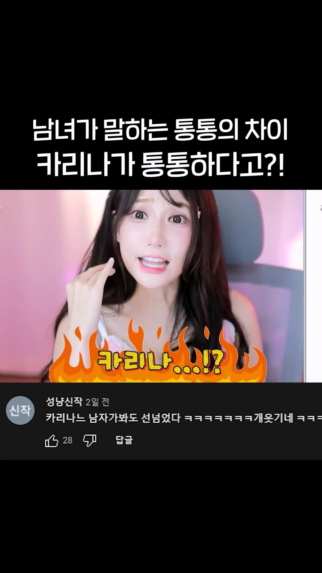 남자들이 생각하는 통통한 여자 연예인 기준