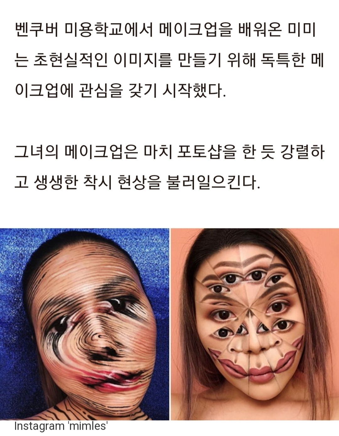 착시 메이크업 윤다인과 미미