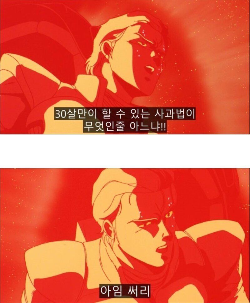 나이 30살만이 할수있는 사과법