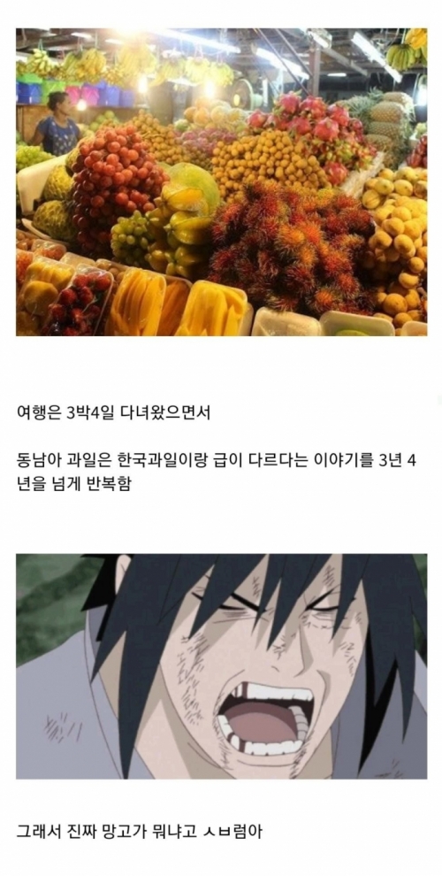 동남아 여행 다녀온 사람을 피해야 하는 이유