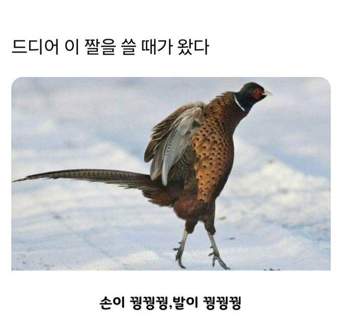 이것저것