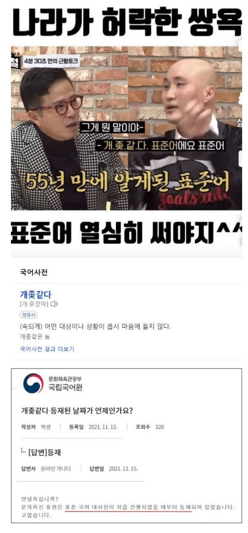 나라가 허락한 쌍욕