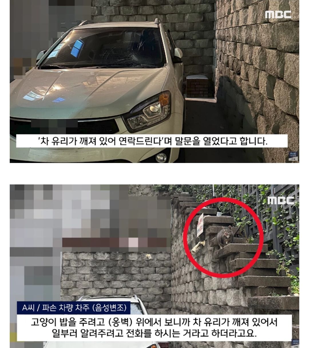 자동차 앞 유리 파손 사건의 진실