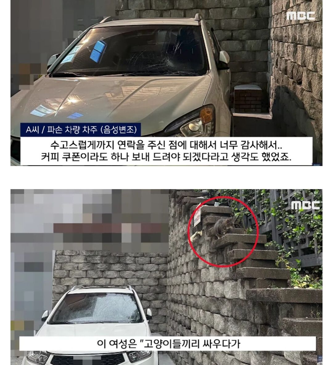 자동차 앞 유리 파손 사건의 진실