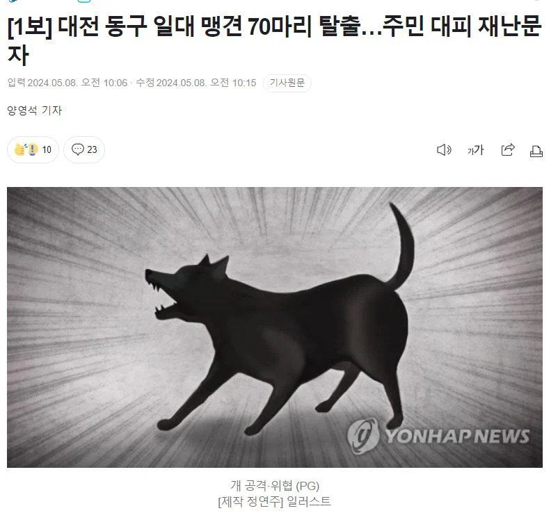 대전 70마리 맹견 탈출 사건