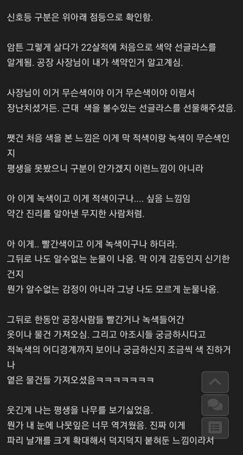 색약 선글라스 착용 후기