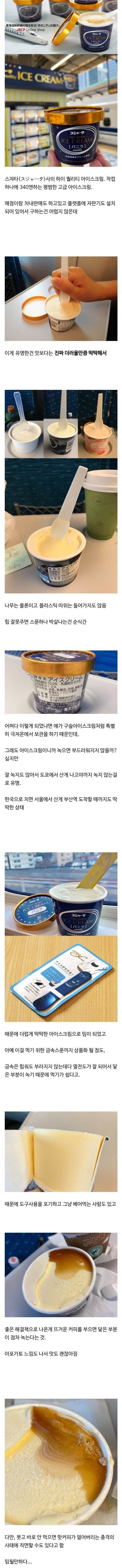 일본 신칸센 승객들한테서 유행하는 아이스크림