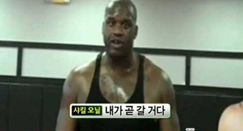 216cm 149kg 샤킬 오닐과 맞짱뜰뻔 했던 한국인