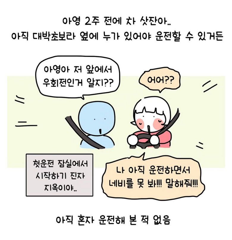 초보운전 대낮에 맨정신으로 대리 부른 썰.