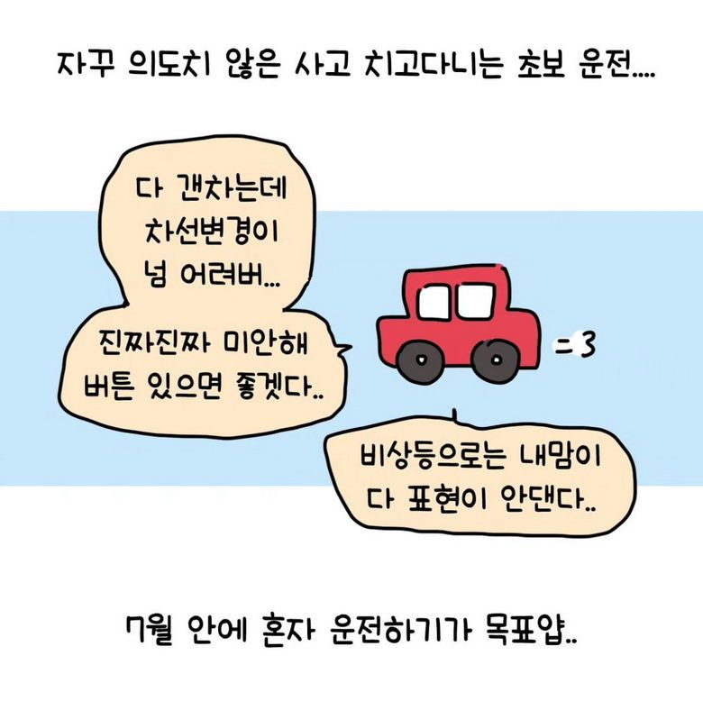 초보운전 대낮에 맨정신으로 대리 부른 썰.