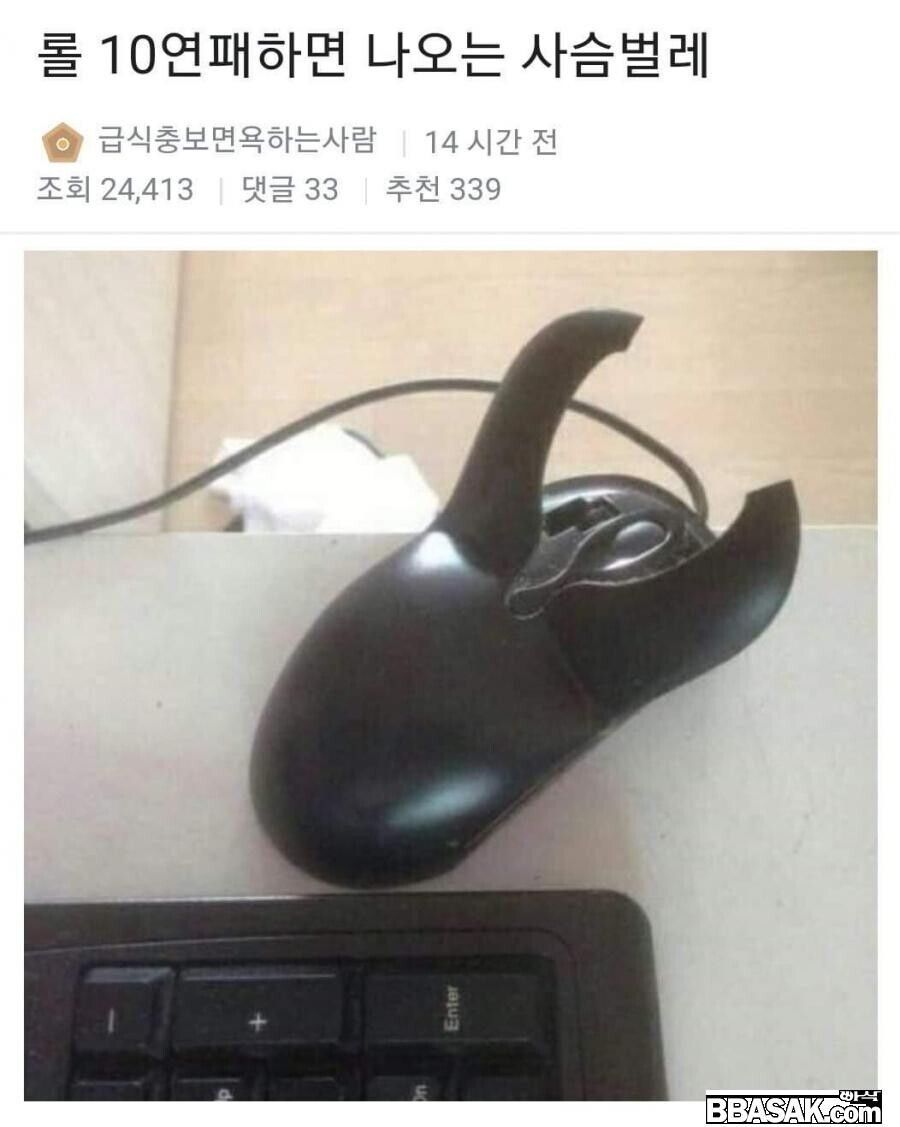 롤 10연패하면 나오는 사슴벌레