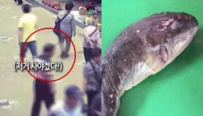 실수로 맹독성 복어를 팔아버린 어부