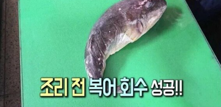 실수로 맹독성 복어를 팔아버린 어부