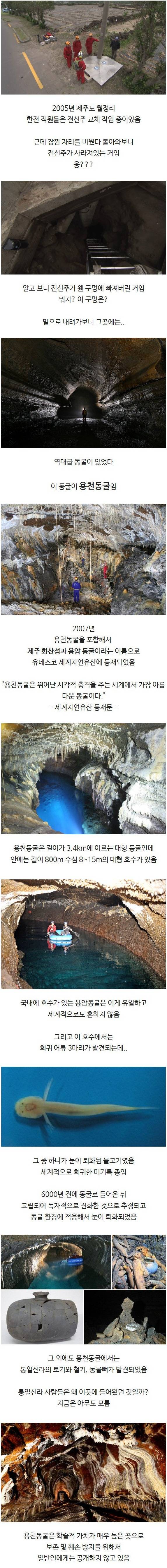 전신주 교체하다가 발견한 역대급 동굴