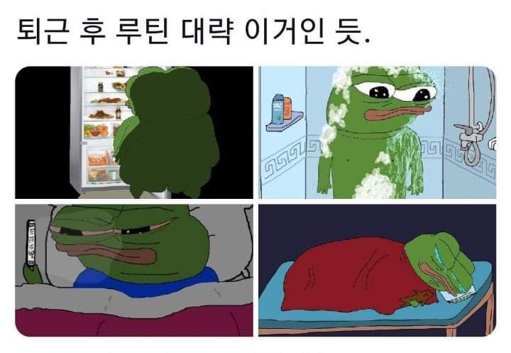 싱글남 퇴근후 루틴