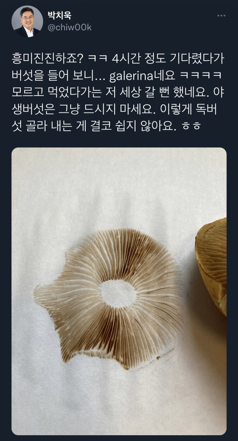 야생버섯을 함부로 먹으면 안되는 이유