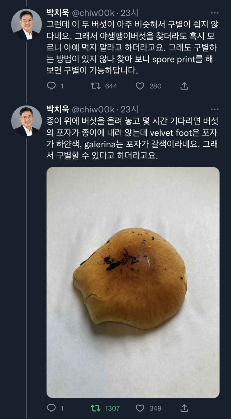 야생버섯을 함부로 먹으면 안되는 이유