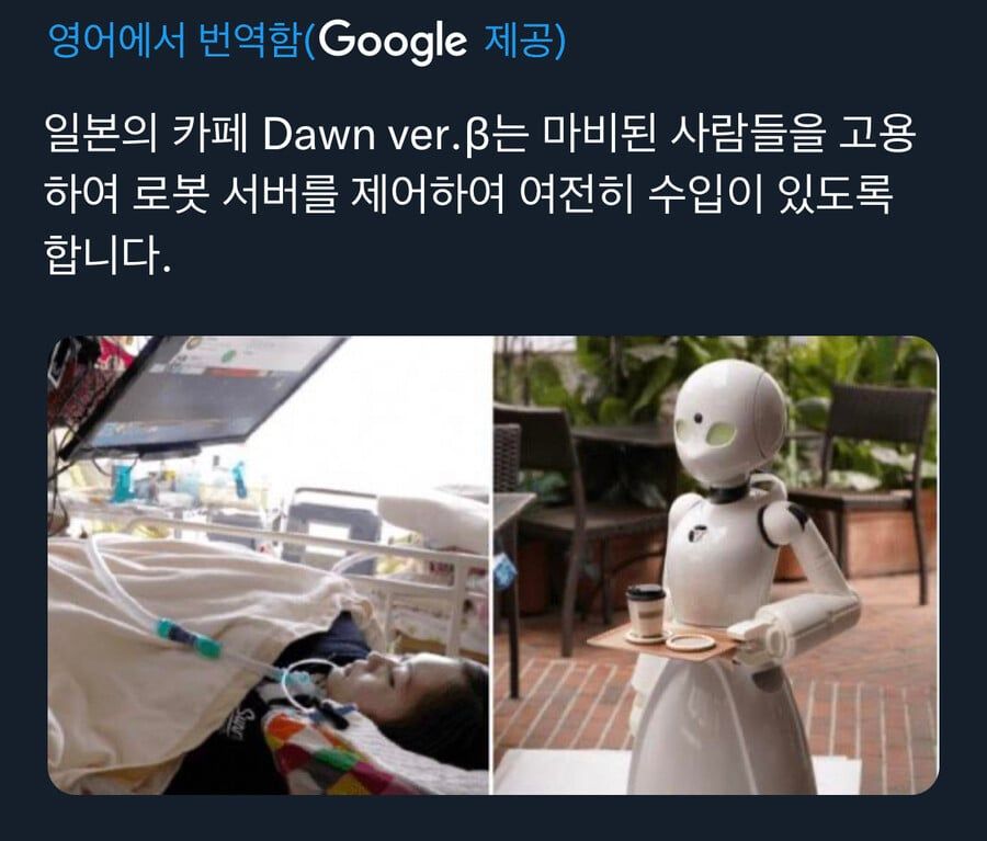 일본 로봇카페의 몰랐던 순기능