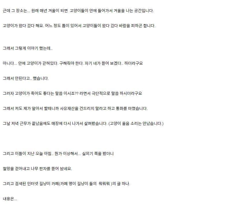 캣맴충들 또 일 저지름