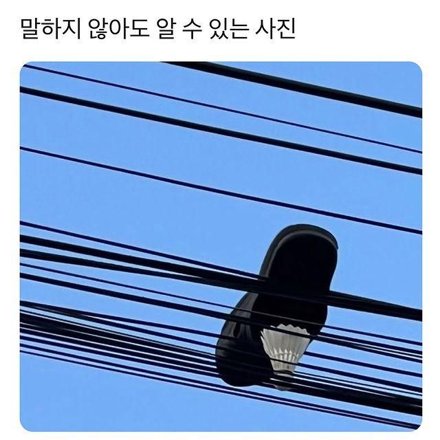 말하지 않아도, 알수있는 사진