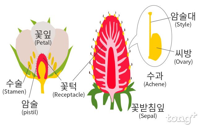 알아두면 쓸 대 없는 지식