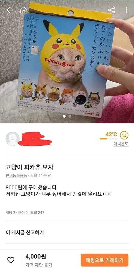 졷양이 모자를 파는 이유