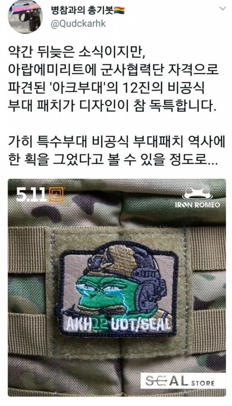 UDT의 비공식 부대패치