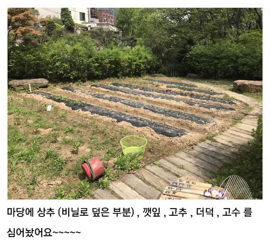 흔한 전원생활 고라니맘