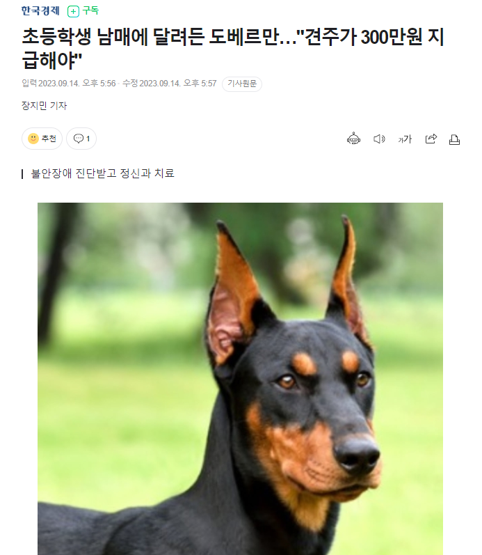 초등학생 남매에 달려든 도베르만…