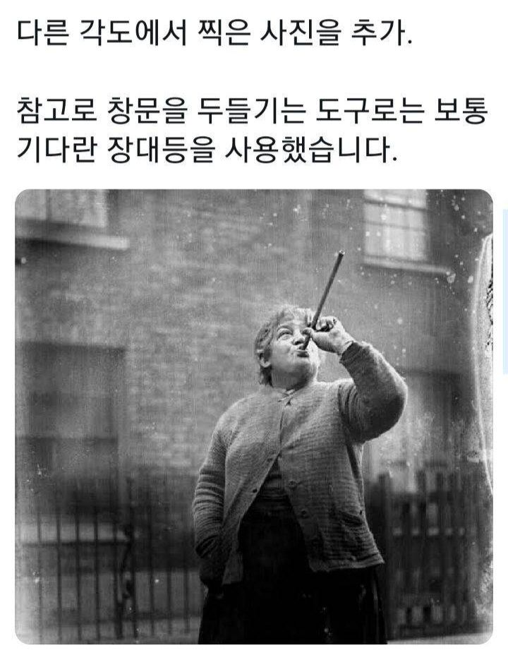 완두콩 사격으로 돈을 벌던 직업