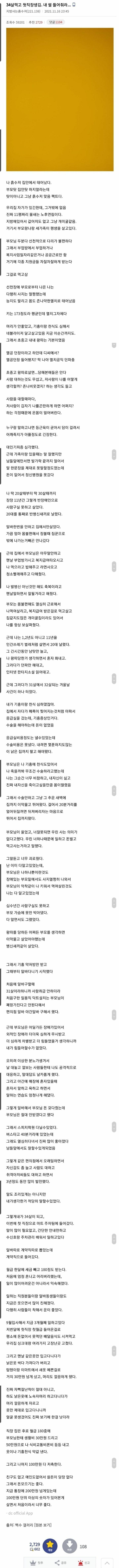 34살 먹고 첫 직장 생긴 디씨인