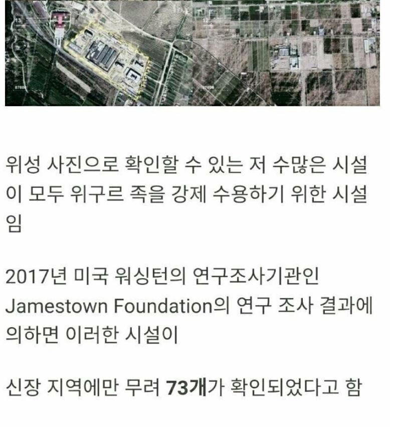 [기타] 나치도 울고갈 중국의 위구르 수용소.