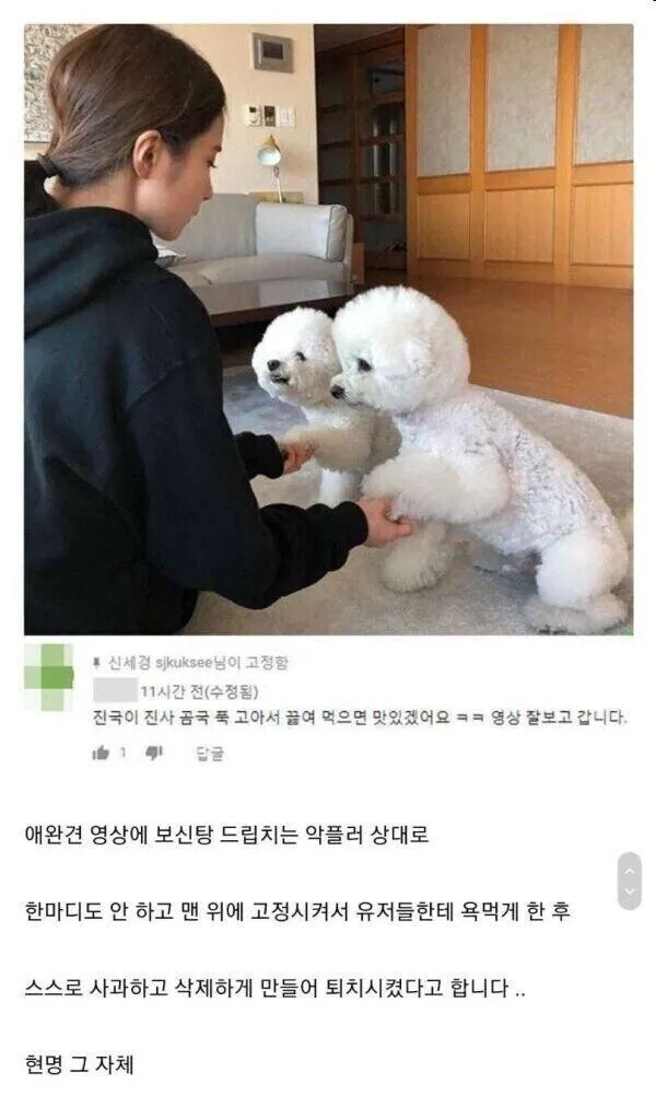 신세경의 악플러 퇴치법