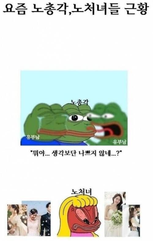 요즘 노 총각 처녀 근황