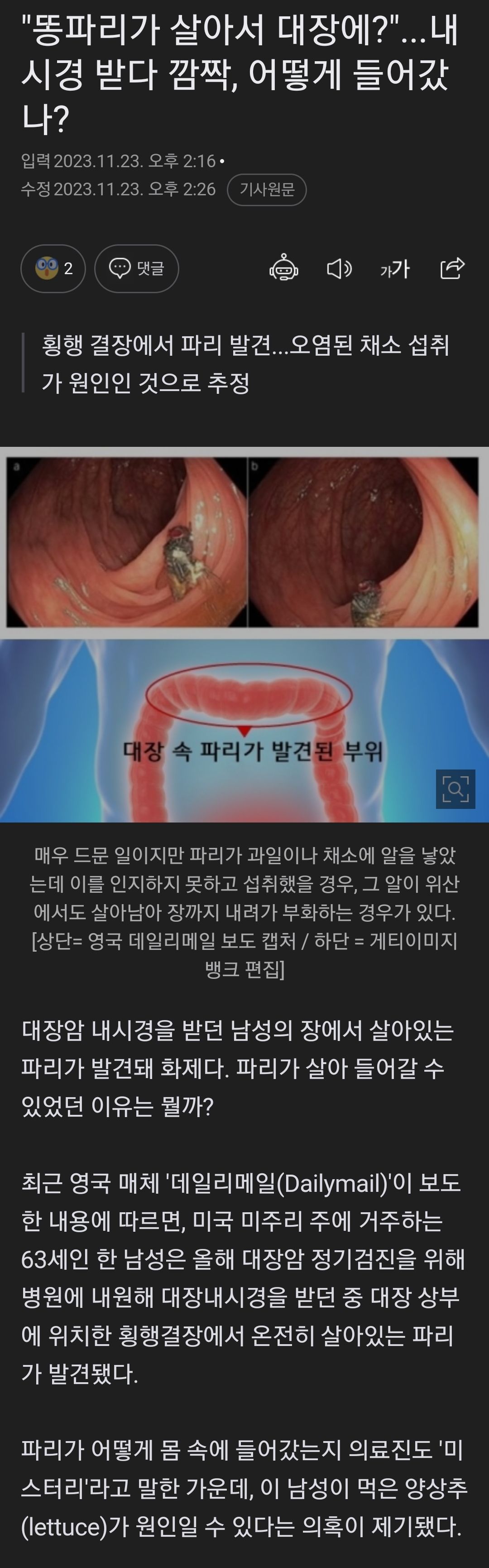 똥파리가 살아서 대장에