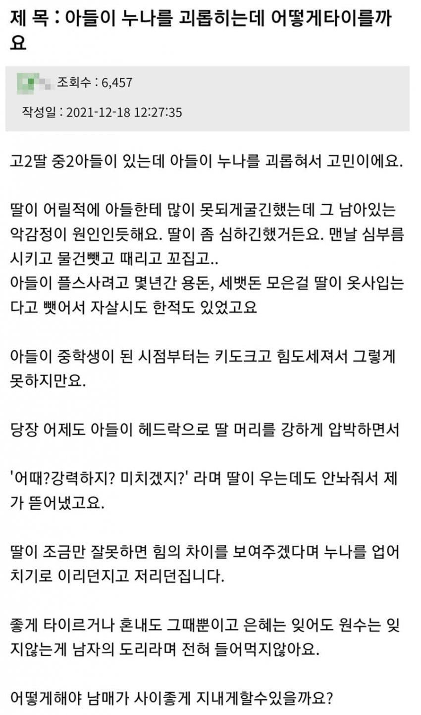 역전된 남매 사이