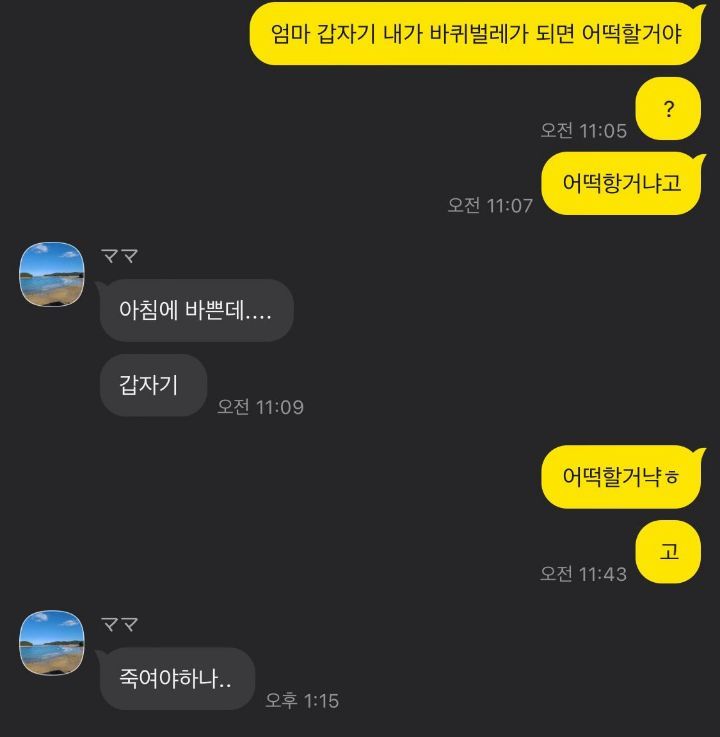 우리 엄마는 내가 갑자기 바퀴벌레가 되면 어떻게 할까...