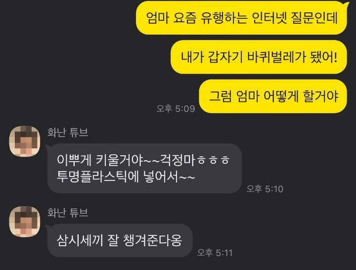 우리 엄마는 내가 갑자기 바퀴벌레가 되면 어떻게 할까...