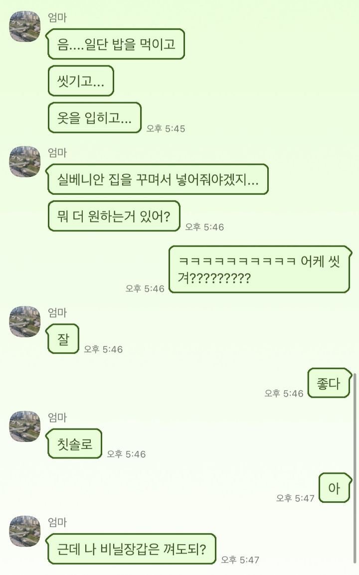 우리 엄마는 내가 갑자기 바퀴벌레가 되면 어떻게 할까...