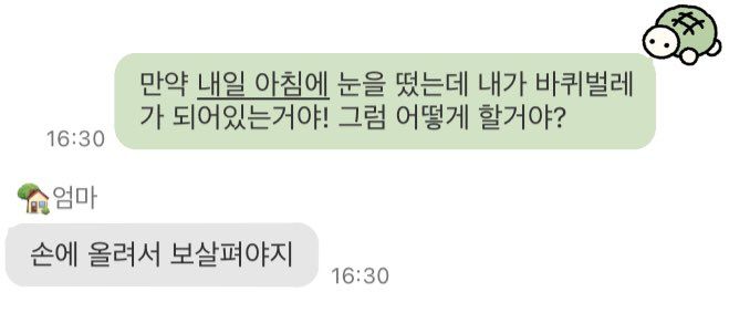 우리 엄마는 내가 갑자기 바퀴벌레가 되면 어떻게 할까...