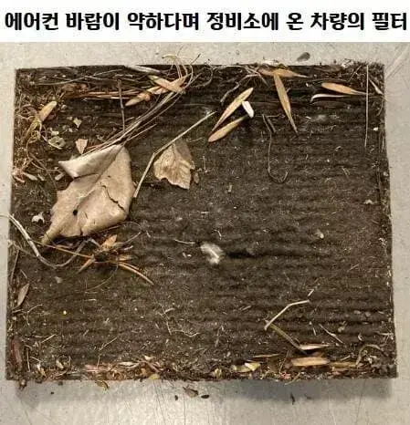 싱글벙글 미국 카센타