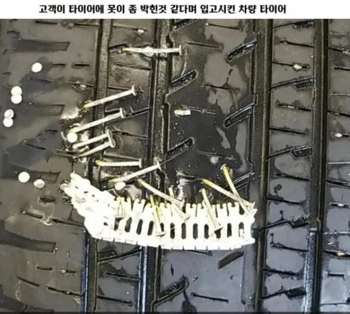 싱글벙글 미국 카센타